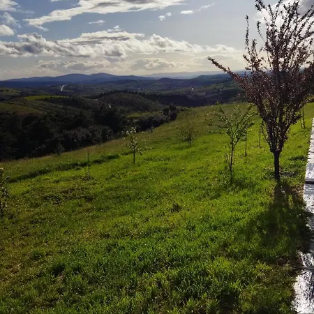 펜션 O Recanto Do Sobreiro Vale de Porco (Braganca)
