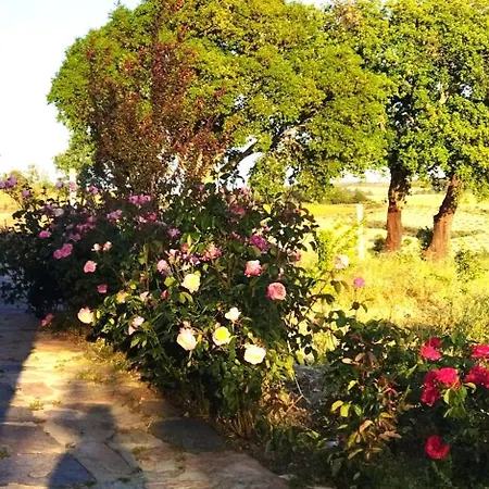 O Recanto Do Sobreiro Vale de Porco (Braganca)