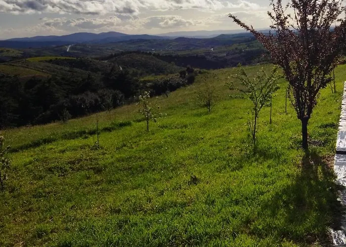 펜션 O Recanto Do Sobreiro Vale de Porco (Braganca)