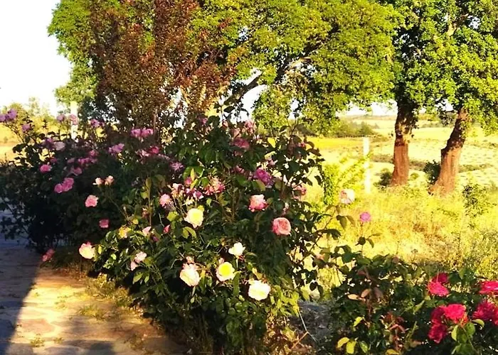 O Recanto Do Sobreiro Vale de Porco (Braganca)